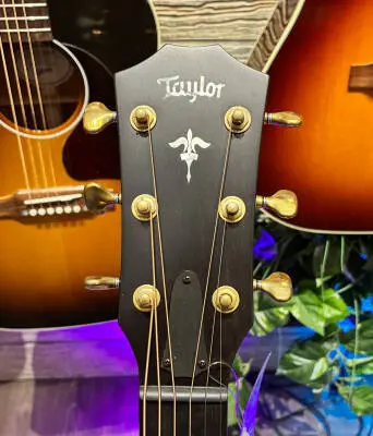 Taylor Guitars - Builder's Edition 614ce with V-Class Bracing - Wild Honey Burst 2